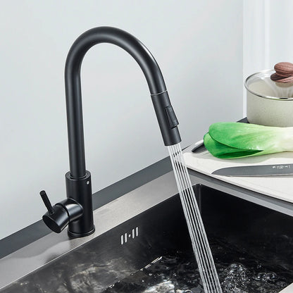 Black Kitchen Faucet Hot and Cold Water Taps Deck Mounted